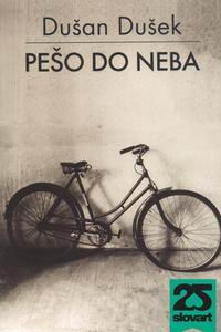 PESO DO NEBA