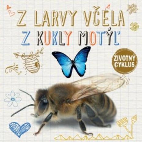 Z LARVY VCELA Z KUKLY MOTYL