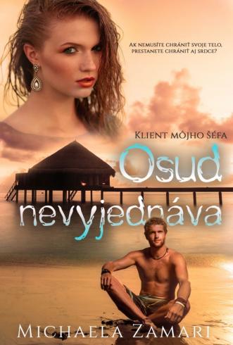 OSUD NEVYJEDNAVA - KLIENT MOJHO SEFA