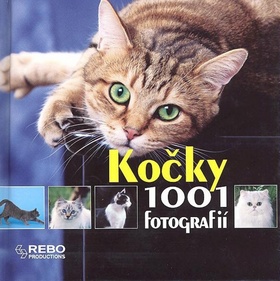 KOCKY 1001 FOTOGRAFII