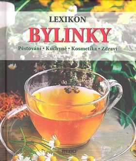 LEXIKON BYLINKY