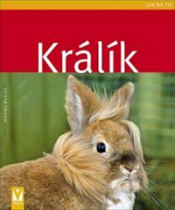 KRALIK - JAK NA TO