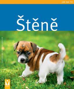 JAK NA TO - STENE
