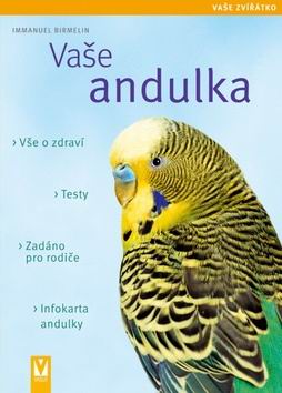 VASE ANDULKA