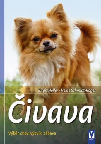 CIVAVA
