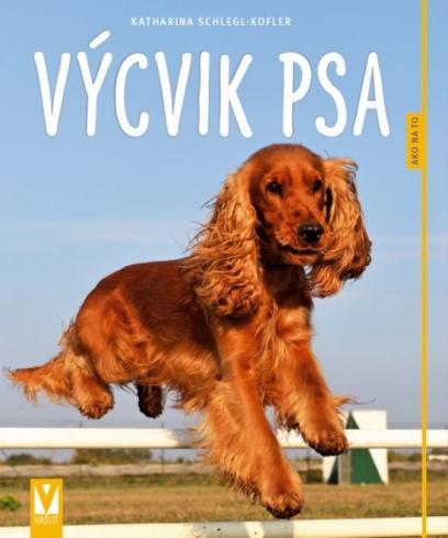 VYCVIK PSA