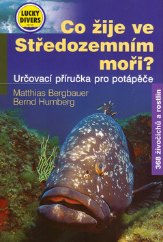 CO ZIJE VE STREDOZEMNIM MORI?