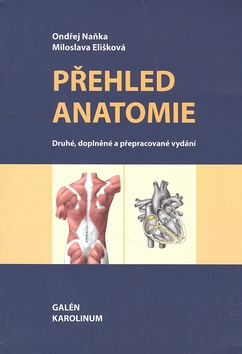 PREHLED ANATOMIE