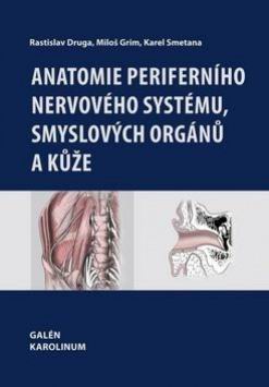 ANATOMIE PERIFERNIHO NERVOVEHO SYSTEMU, SMYSLOVYCH ORGANU A KUZE