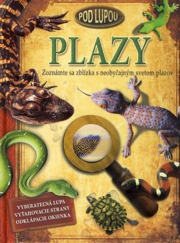 PLAZY