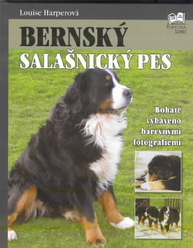 BERNSKY SALASNICKY PES