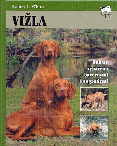 VIZLA