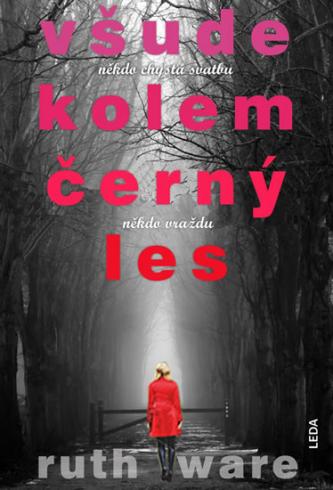VSUDE KOLEM CERNY LES