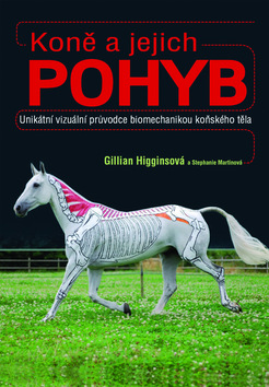 KONE A JEJICH POHYB