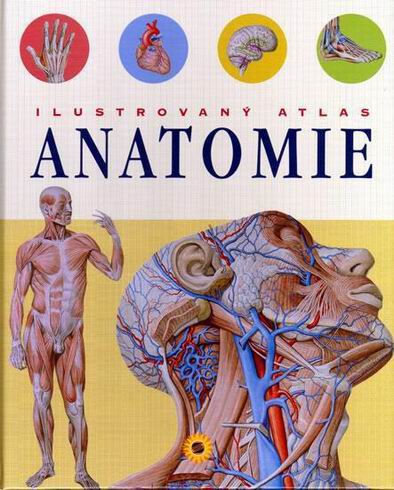 ILUSTROVANY ATLAS ANATOMIE