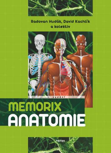 MEMORIX ANATOMIE
