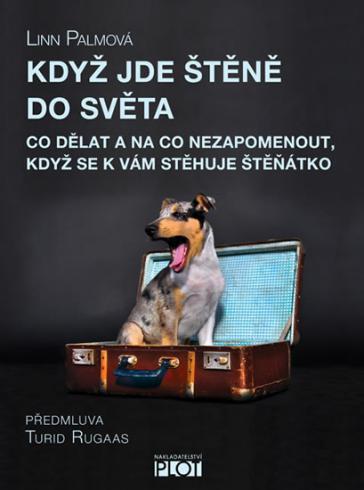 KDYZ JDE STENE DO SVETA