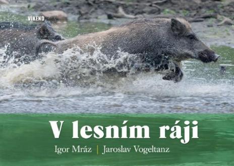 V LESNIM RAJI
