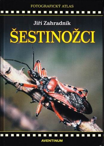 SESTINOZCI
