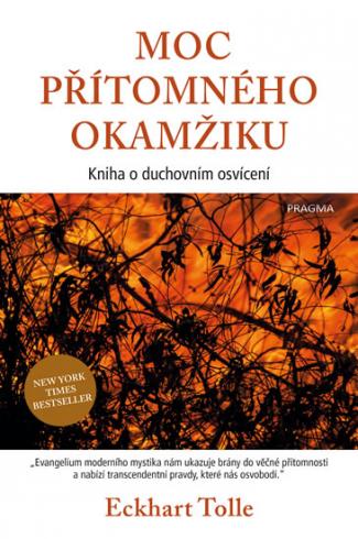 MOC PRITOMNEHO OKAMZIKU