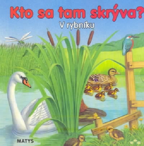 KTO SA TAM SKRYVA? V RYBNIKU