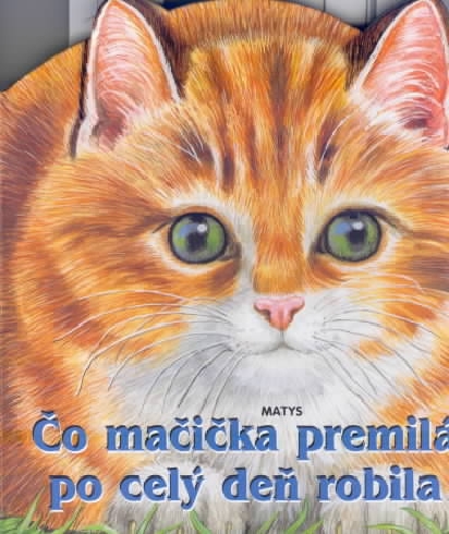 CO MACICKA PREMILA PO CELY DEN ROBILA