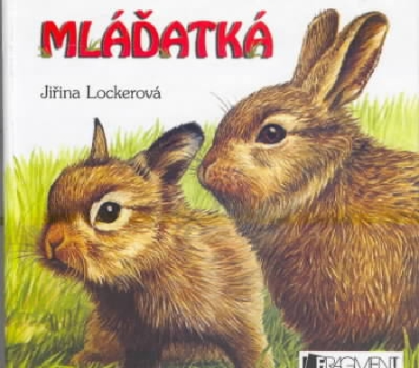MLADATKA