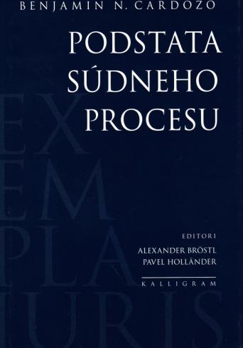 PODSTATA SUDNEHO PROCESU