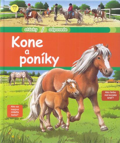 KONE A PONIKY