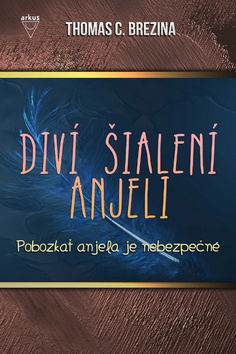 DIVI SIALENI ANJELI - POBOZKAT ANJELA JE NEBEZPECNE