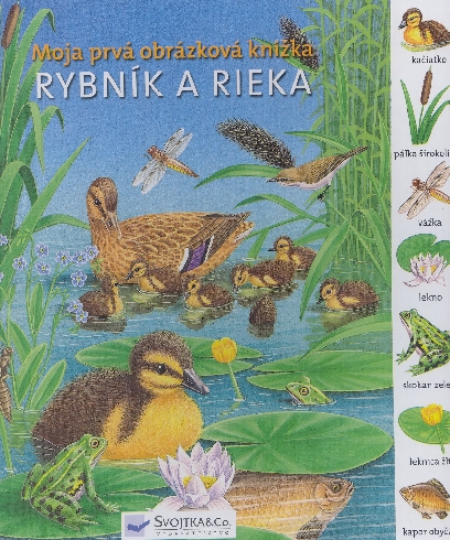 MOJA PRVA OBRAZKOVA KNIZKA RYBNIK A RIEKA