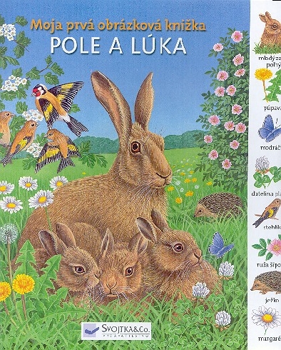 MOJA PRVA OBRAZKOVA KNIZKA POLE A LUKY