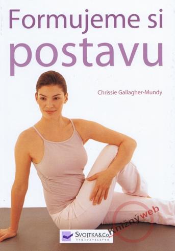 FORMUJEME SI POSTAVU