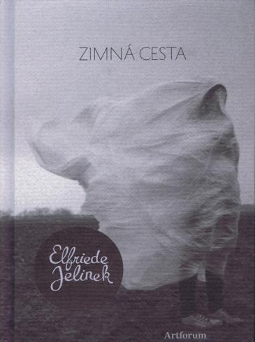 ZIMNA CESTA