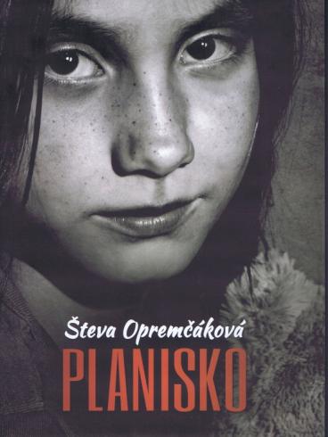 PLANISKO