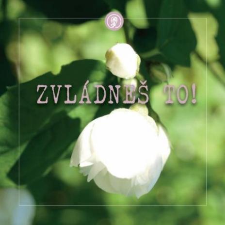 ZVLADNES TO!