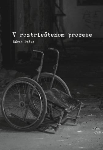 V ROZTRIESTENOM PROCESE