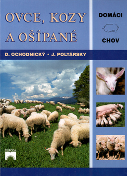 OVCE, KOZY A OSIPANE - DOMACI CHOV