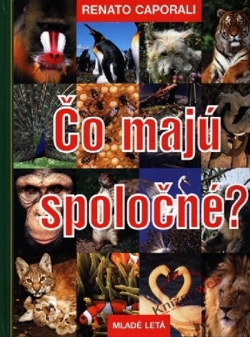 CO MAJU SPOLOCNE?