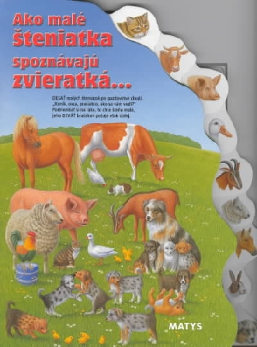 AKO MYSKY NAUCILI KOCURIKA HRAT