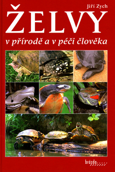 ZELVY V PRIRODE A V PECI CLOVEKA