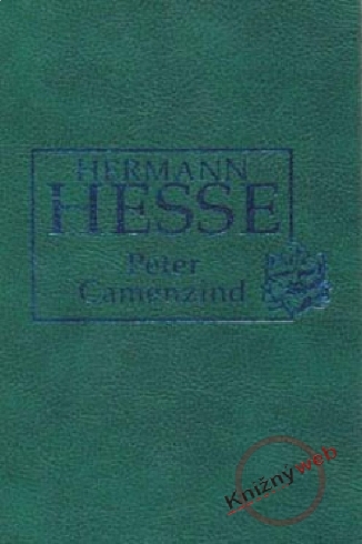 PETER CAMENZIND
