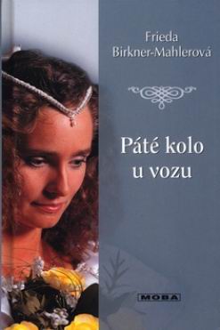 PATE KOLO U VOZU