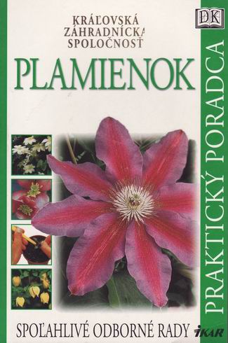 PLAMIENOK