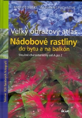 NADOBOVE RASTLINY DO BYTU A NA BALKON