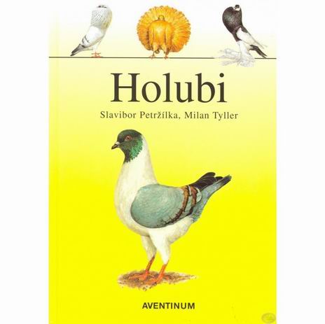 HOLUBI