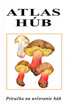 ATLAS HUB