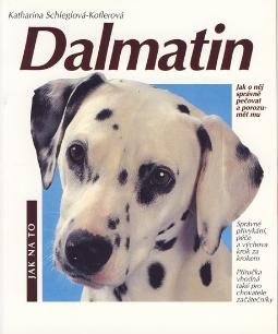 DALMATIN - JAK NA TO