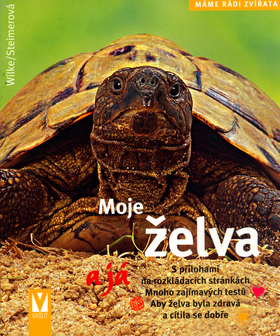 MOJE ZELVA A JA