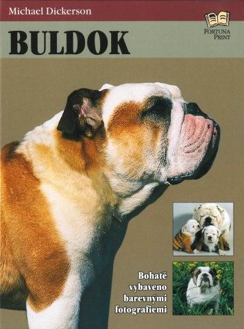BULDOK